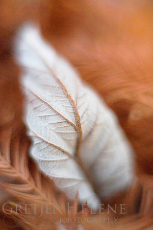 161228MintonStableMacro-4371