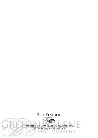 V BACK TreeFeathers