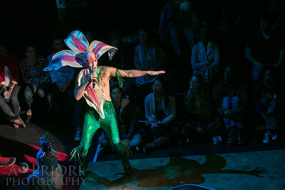 121011ARTLilyPER-1068