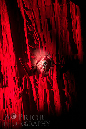 121011ARTLilyPER-2474