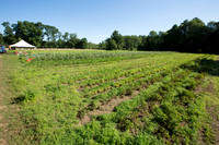 150807TFPWenhamFarmYouthADVpano10-002