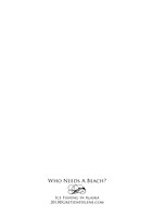 V BACK NeedsABeach