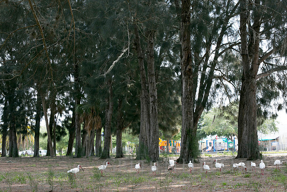 1404GreerFloridaFAM-059