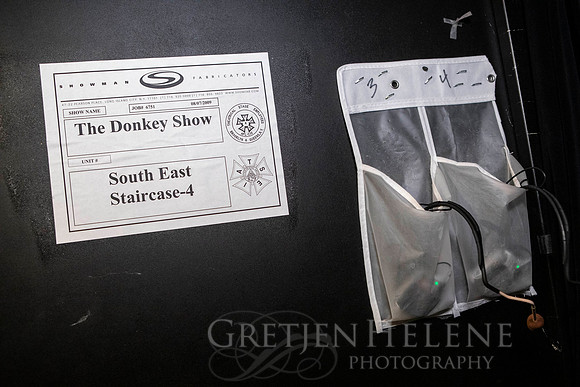 190912ARTFinalDonkeyShowPER-033