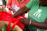 150813TFPDudleyFarmMarketADV-023