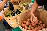 150813TFPDudleyFarmMarketADV-009