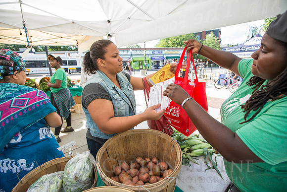 150813TFPDudleyFarmMarketADV-101
