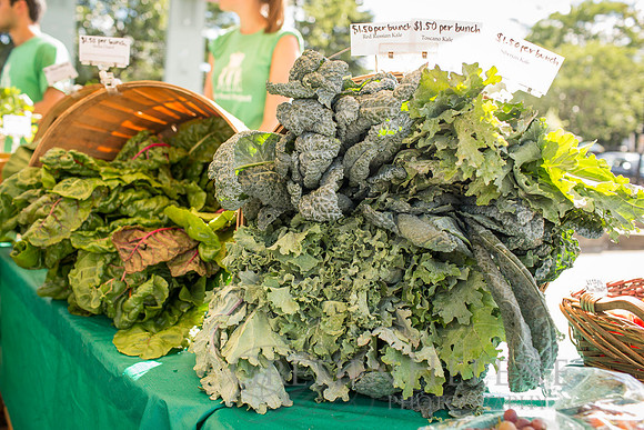 150813TFPDudleyFarmMarketADV-073