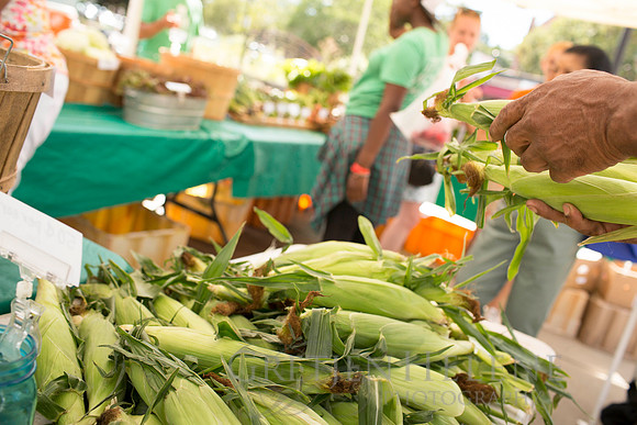 150813TFPDudleyFarmMarketADV-066