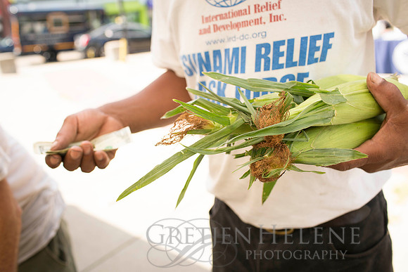 150813TFPDudleyFarmMarketADV-067