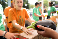 150813TFPDudleyFarmMarketADV-037