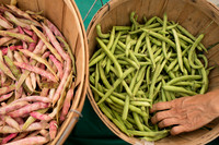 150813TFPDudleyFarmMarketADV-012