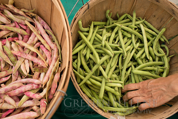 150813TFPDudleyFarmMarketADV-012