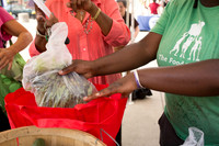 150813TFPDudleyFarmMarketADV-020