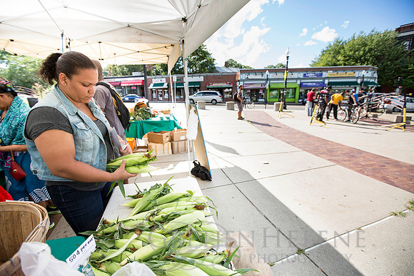 150813TFPDudleyFarmMarketADV-091