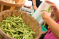 150813TFPDudleyFarmMarketADV-011