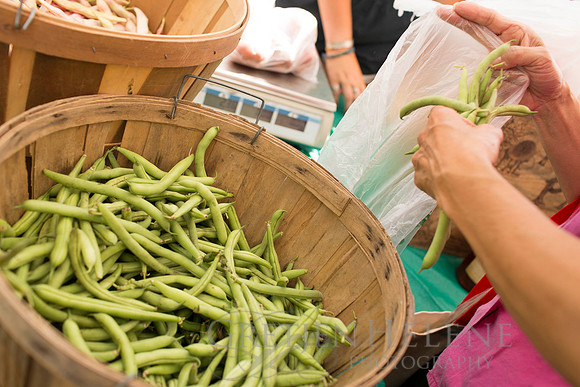 150813TFPDudleyFarmMarketADV-011