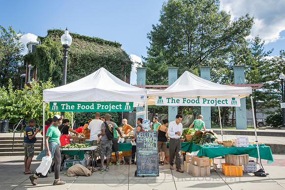 150813TFPDudleyFarmMarketADV-088