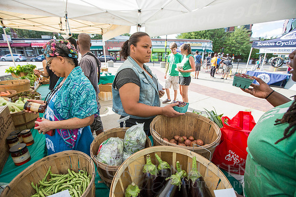 150813TFPDudleyFarmMarketADV-098