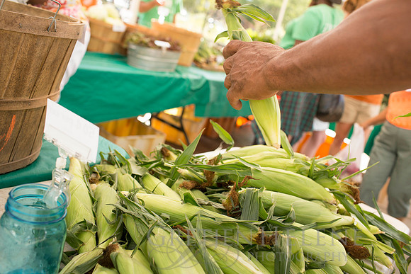 150813TFPDudleyFarmMarketADV-065
