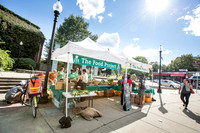 TFP • August 13th 2015 • Dudley Farmers Market