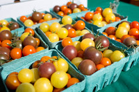 150813TFPDudleyFarmMarketADV-017