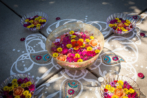 140525ChatterjeeWED-004