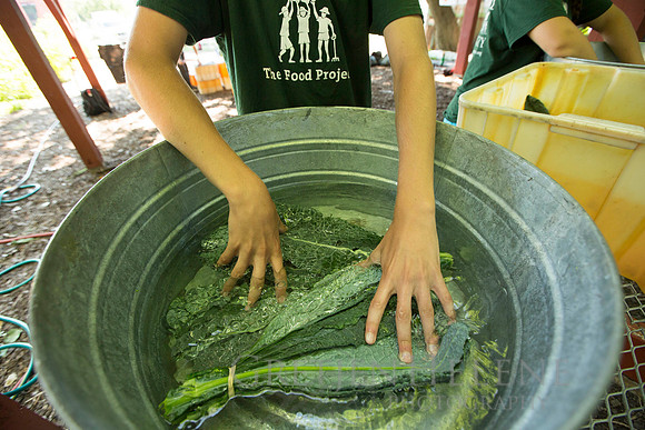 150723TFPYouthFarmEVT-072