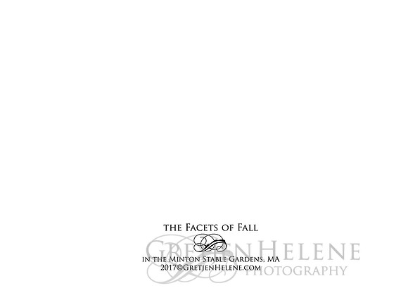 H BACK FacetsFall