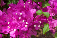 090420KraskerWED-9200