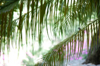 090420KraskerWED-9149