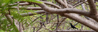 090420KraskerWED-9182