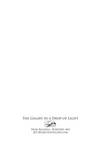 V BACK GalaxyDropLight