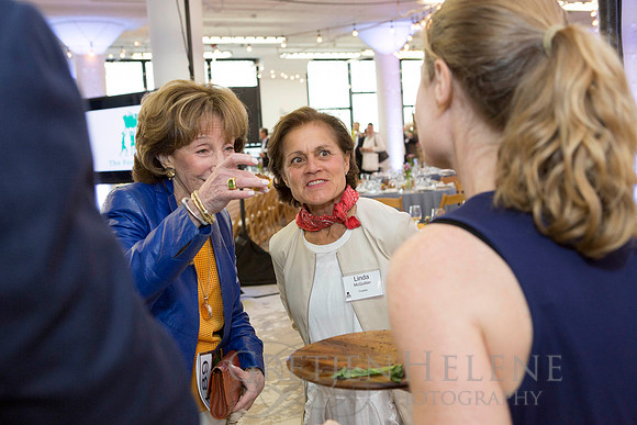 160428TFPShindig25thAnnvEVT-182