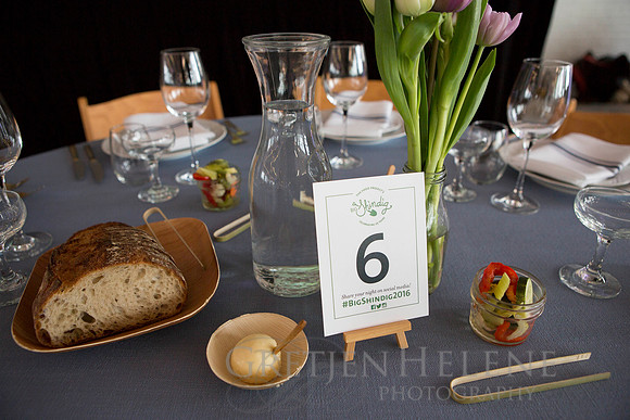 160428TFPShindig25thAnnvEVT-003