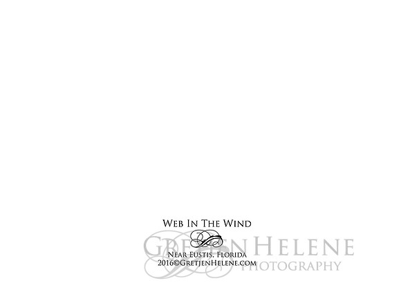 H BACK WebInTheWind