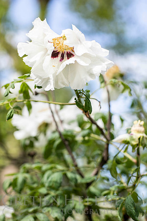180513MothersDayPOR-051