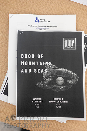 240406AEMBookClubRoxEVT-002