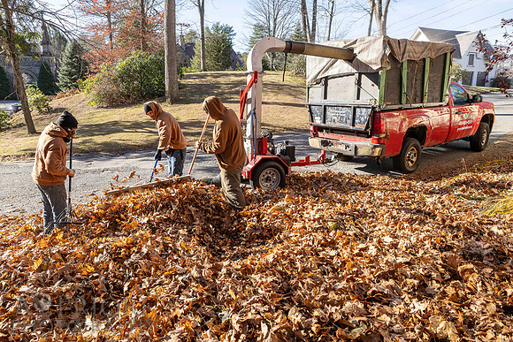 241125WMLStaffAndWorkPOR-074