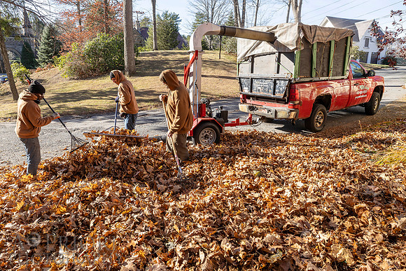 241125WMLStaffAndWorkPOR-072