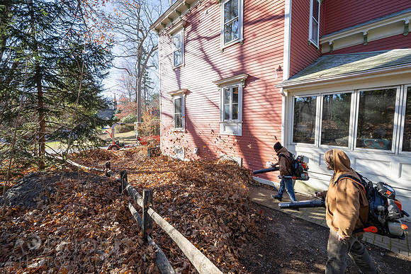 241125WMLStaffAndWorkPOR-025
