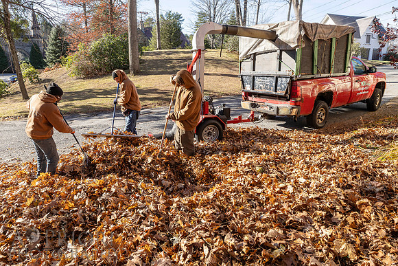 241125WMLStaffAndWorkPOR-073