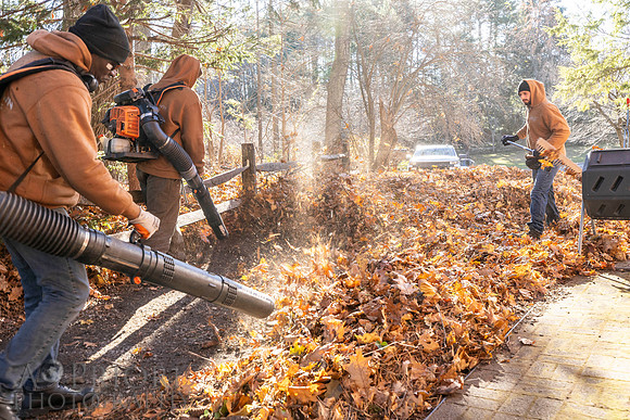 241125WMLStaffAndWorkPOR-049
