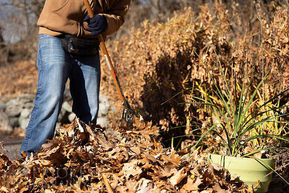 241125WMLStaffAndWorkPOR-191