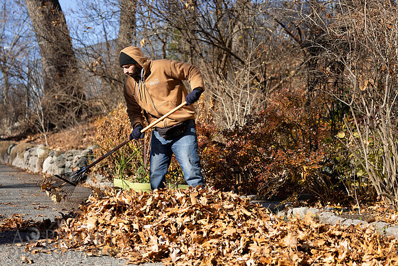 241125WMLStaffAndWorkPOR-197