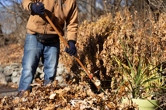 241125WMLStaffAndWorkPOR-190