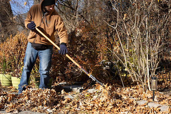 241125WMLStaffAndWorkPOR-193