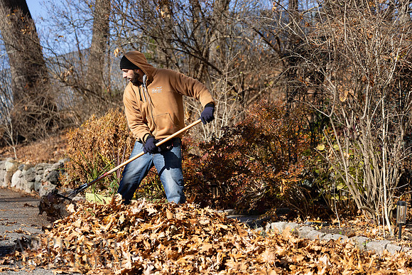 241125WMLStaffAndWorkPOR-199