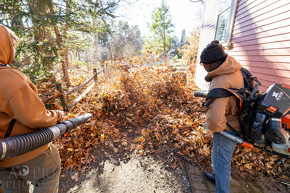 241125WMLStaffAndWorkPOR-034
