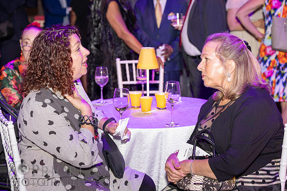 240610ARTAnnualGalaEVT-168